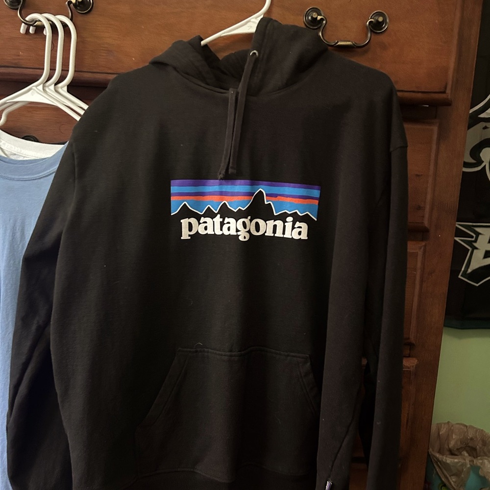 Patagonia Hoodie